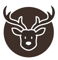 out/pictures/discount_banner/019abac7-1f69-7c63-869f-42c1d4193f21.png Voorbeeldfoto