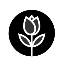 out/pictures/discount_banner/019c9a49-fa21-7ffd-82c6-ecc38bc56528.png Voorbeeldfoto