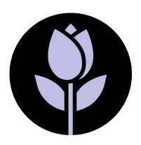 out/pictures/discount_banner/019cae55-622f-763a-8f9b-af3c155931c8.png Voorbeeldfoto