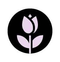 out/pictures/discount_banner/019db9be-3759-796c-a5d2-b986bbcb78d5.png Voorbeeldfoto