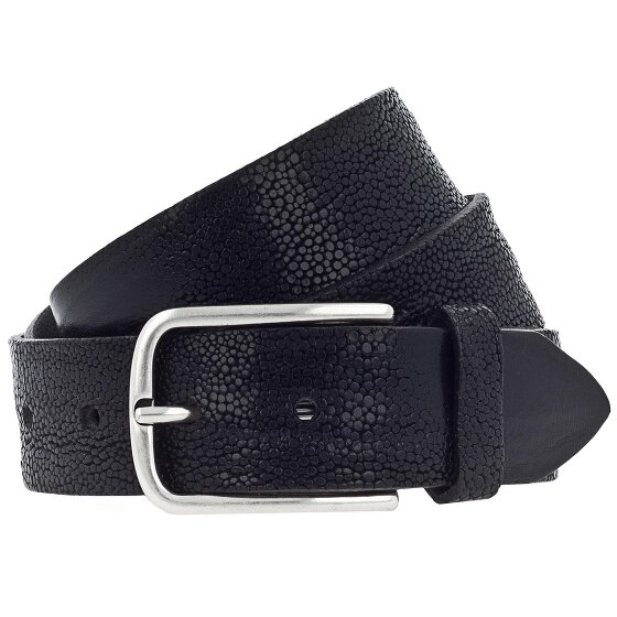 Vanzetti Riem leer