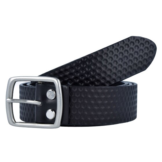 Picard Riem leer