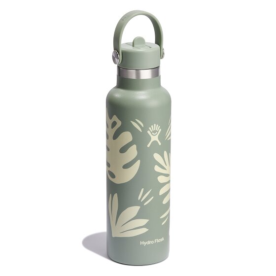 Hydro Flask Hydration Standard Flex Straw Cap Drinkfles 620 ml