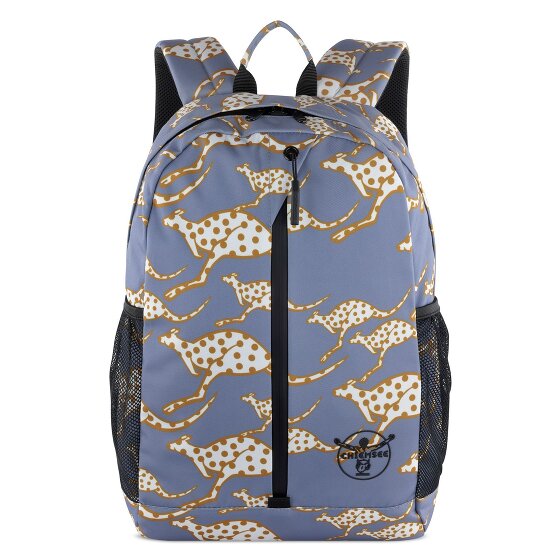 Chiemsee Jump N Fly Dagrugzak 43 cm Laptop compartiment