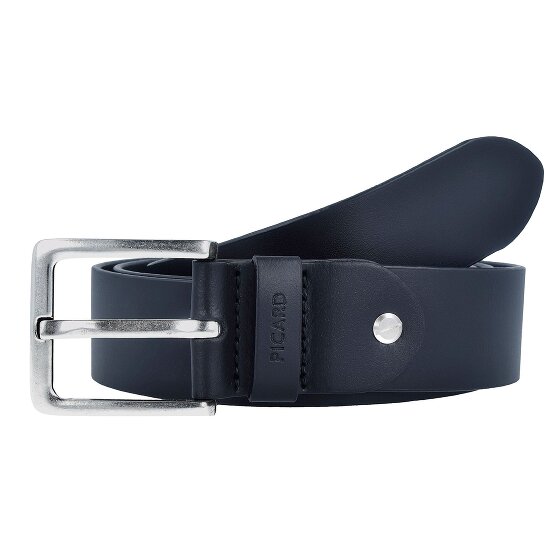 Picard Riem leer