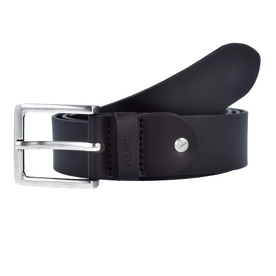 Picard Riem leer