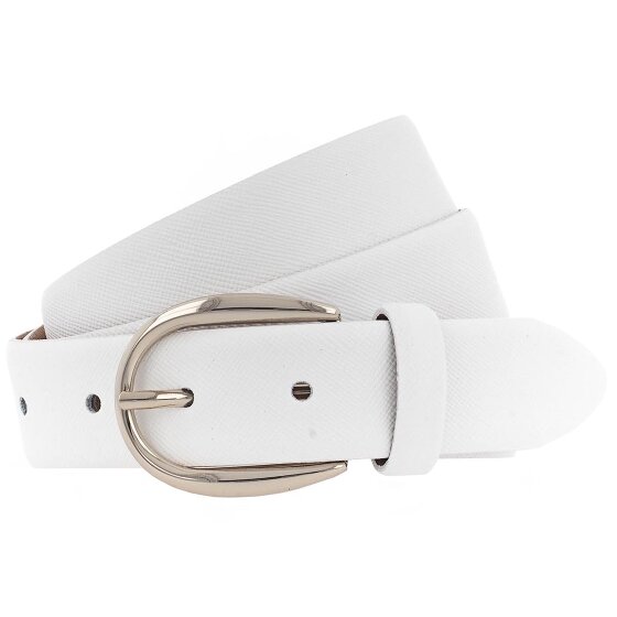Vanzetti Riem