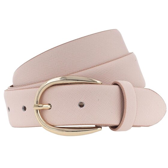 Vanzetti Riem