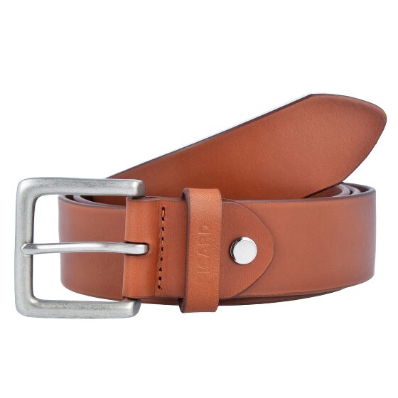 Picard Riem leer