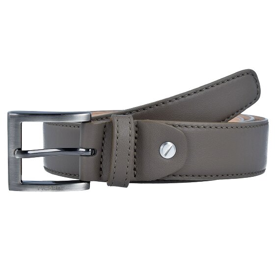 Picard Riem leer