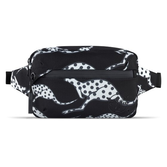Chiemsee Jump N Fly Fanny pack 22 cm