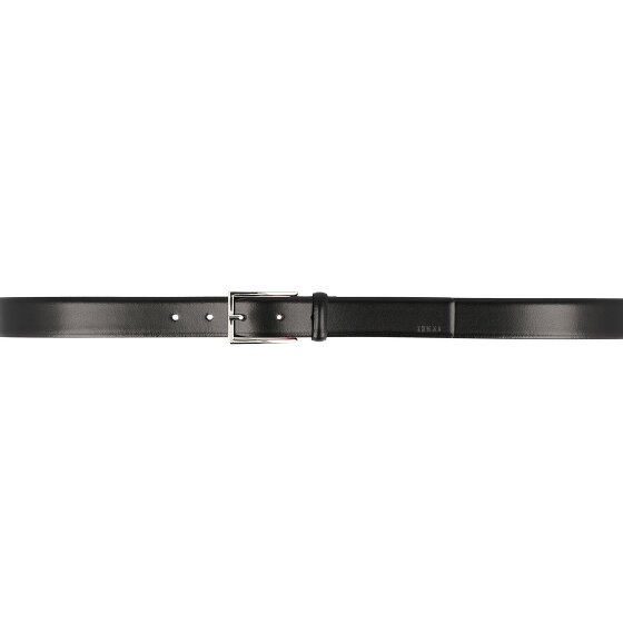 Hugo Gavrilo Riem Leder