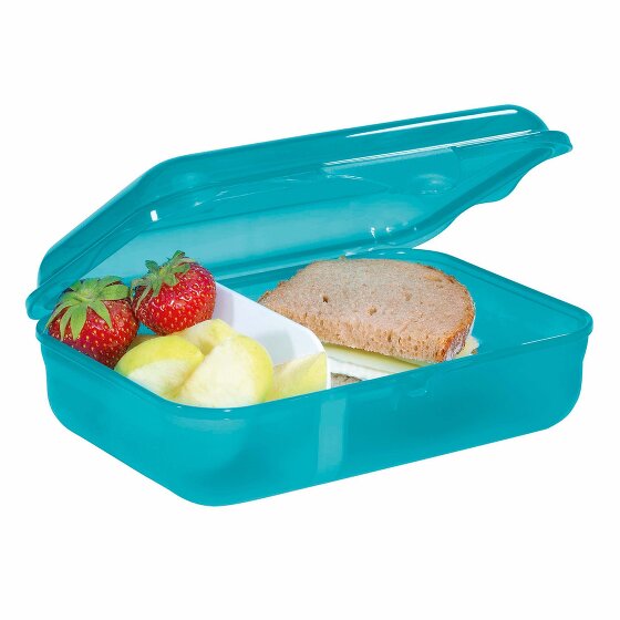 Step by Step Lunchbox 18 cm