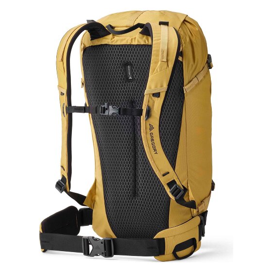 Gregory Alpinisto 30 L Dagrugzak 58 cm