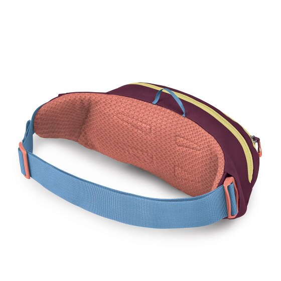 Osprey Daylite Taille Riem Tas 45 cm