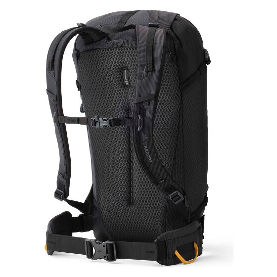 Gregory Alpinisto 30 L Dagrugzak 58 cm