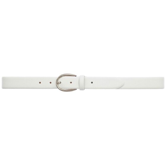 Vanzetti Riem