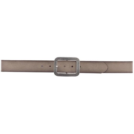 Vanzetti Riem leer Vanzetti Riem leer