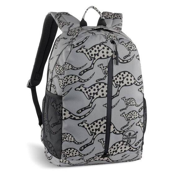 Chiemsee Jump N Fly Dagrugzak 43 cm Laptop compartiment