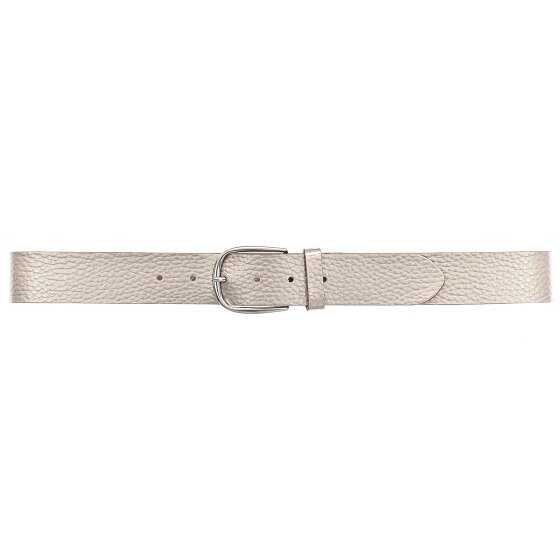 Vanzetti Riem