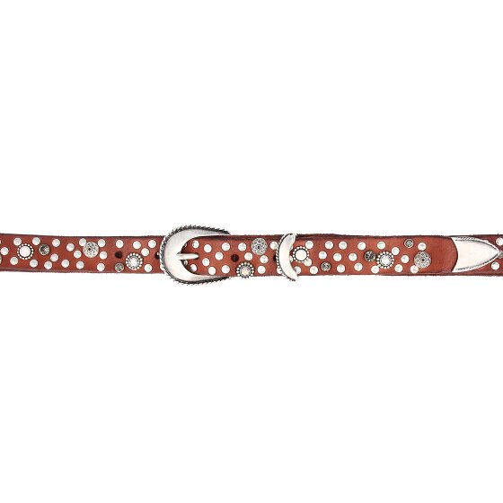 Campomaggi Studded riem leer