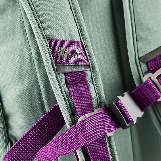 Jack Wolfskin Little Scout Kinderrugzak 29 cm