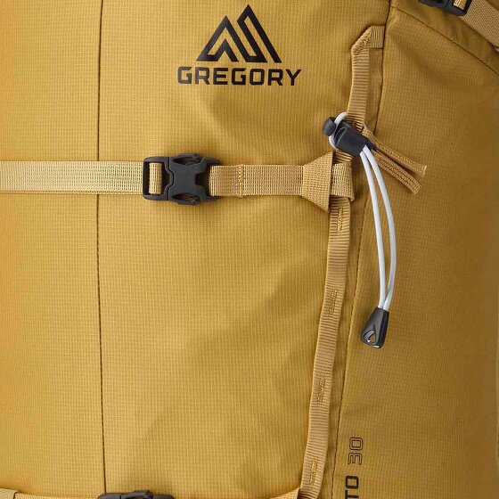 Gregory Alpinisto 30 L Dagrugzak 58 cm