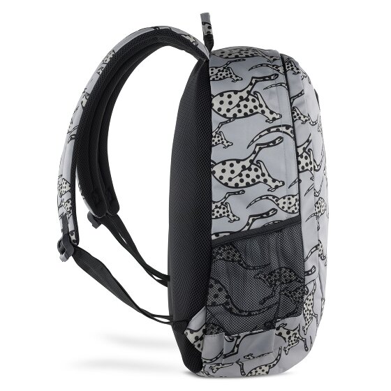 Chiemsee Jump N Fly Dagrugzak 46 cm Laptop compartiment