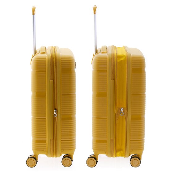 Gladiator 0800 4 wielen Cabinewagen 55 cm met uitbreidingsplooi
