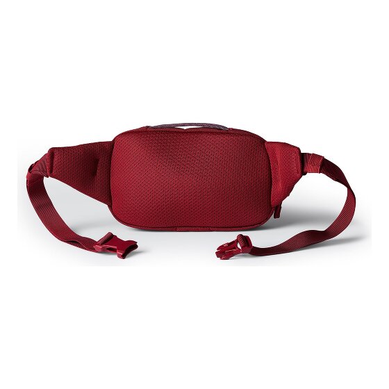 Cotopaxi Allpa Fanny pack 24 cm