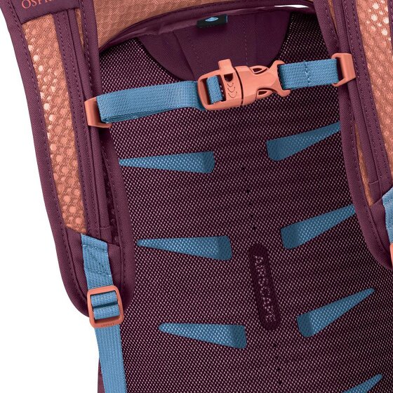 Osprey Daylite Dagrugzak 43 cm