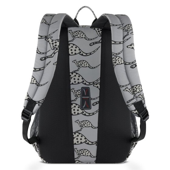 Chiemsee Jump N Fly Dagrugzak 46 cm Laptop compartiment