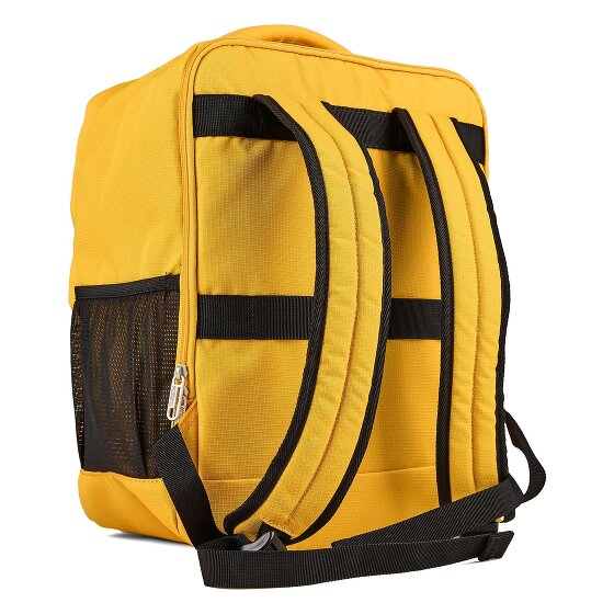 American Tourister Checkline-reisrugzakken met laptopvak van 40 cm