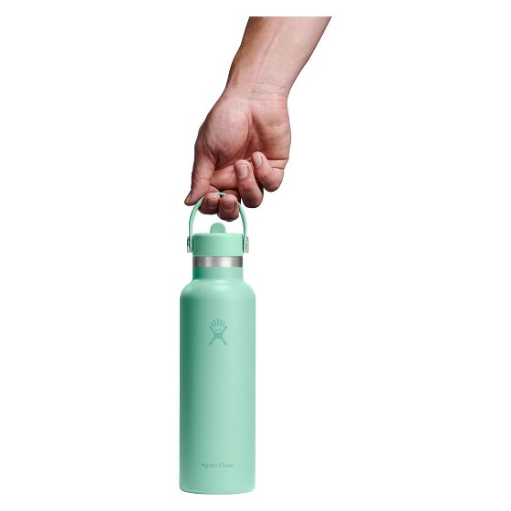 Hydro Flask Hydration Standard Flex Straw Cap Drinkfles 620 ml