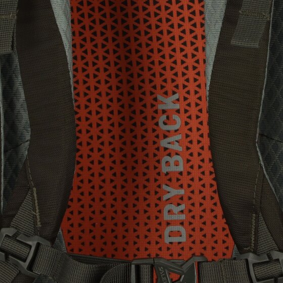 Salewa Alp Trainer 35L Rugzak 65 cm