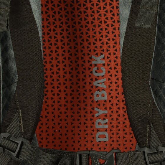 Salewa Alp Trainer 35L Rugzak 65 cm