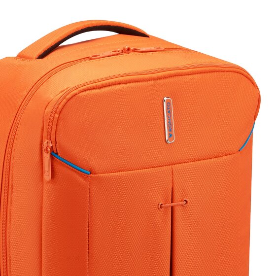 Roncato Ironik 2.0 Dagrugzak 45 cm