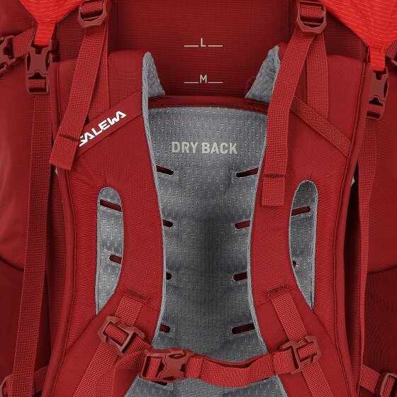 Salewa Alptrek 50 Rugzak 77 cm