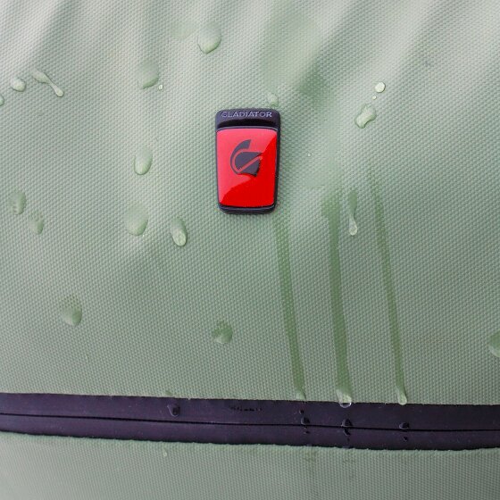 Gladiator 3900 2 wielen Cabinewagen 55 cm Laptop compartiment