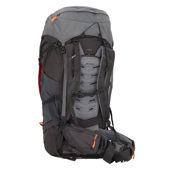 Salewa Alptrek 65 Pro rugzak 81 cm