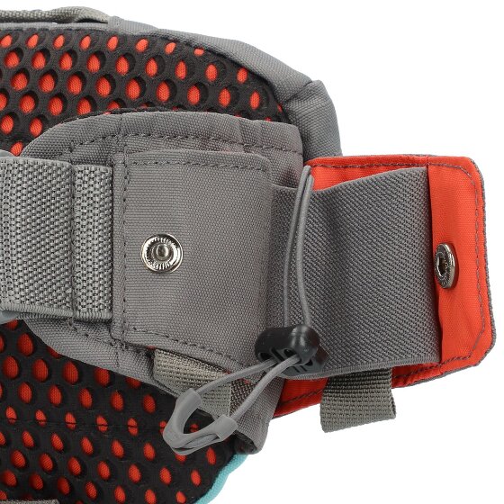 Dakine Hot Laps Fanny pack 17 cm