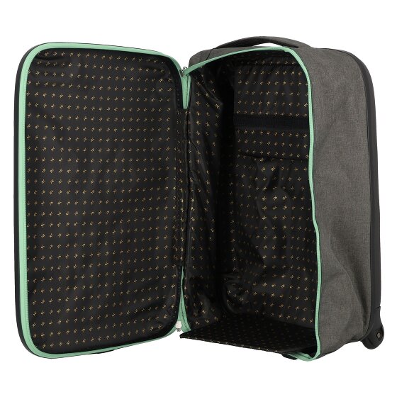 Rollink Flex 21 2 wielen Cabinewagen 55 cm