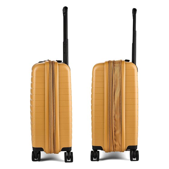 Jump Striper 4 wielen Cabinewagen 55 cm met uitbreidingsplooi