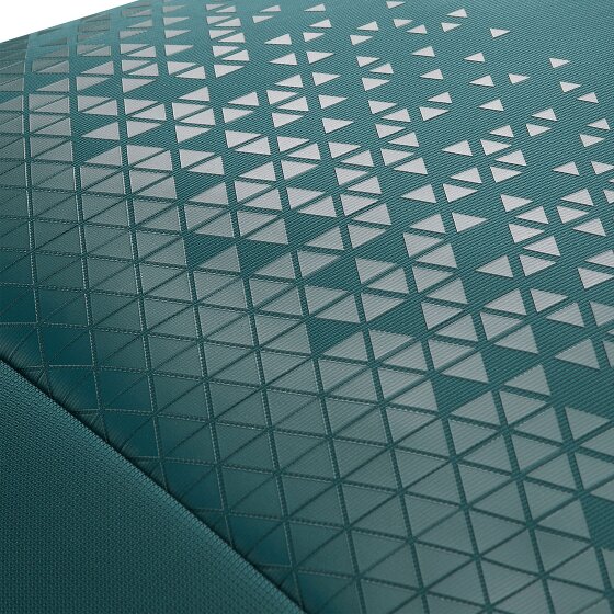 Roncato Crosslite 2-wiel trolley 55 cm