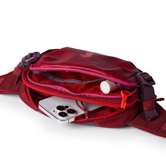 Cotopaxi Allpa Fanny pack 24 cm