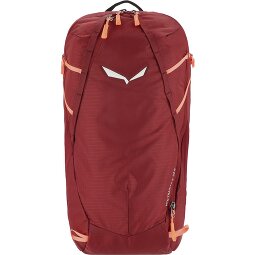 Salewa MTN Trainer 2 22L Rugzak w 47 cm  variant 2