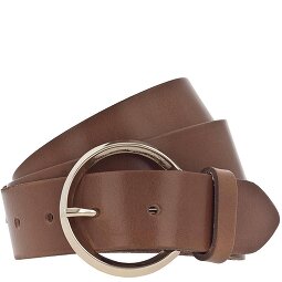 Vanzetti Riem leer  variant 2