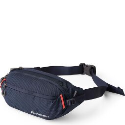 Gregory Nano Fanny pack 33 cm  variant 2