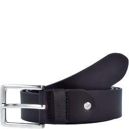 Picard Riem leer  variant 1