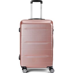 Benzi 5583 4 wielen Trolley 65 cm  variant 4